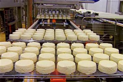 Du lait aux yaourts et aux fromages - Richesse de la filière lait - 2mn 22s